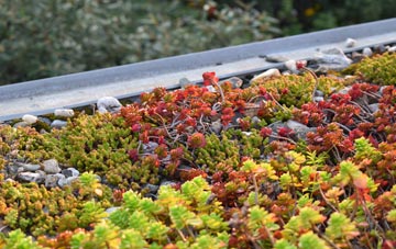 the cost of Selsley green roof installation