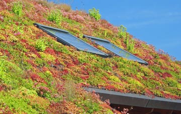 Selsley living roof systems